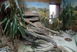 zoo-bochum-zoo-2015-03-28-031
