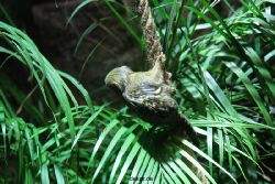 zoo-bochum-zoo-2015-03-28-041
