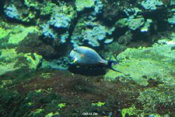 zoo-bochum-zoo-2015-03-28-058