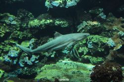 zoo-bochum-zoo-2015-03-28-063