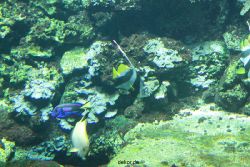 zoo-bochum-zoo-2015-03-28-067