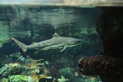 zoo-bochum-zoo-2015-03-28-068