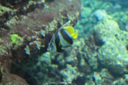 zoo-bochum-zoo-2015-03-28-073
