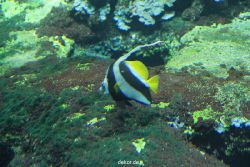 zoo-bochum-zoo-2015-03-28-074