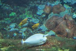 zoo-bochum-zoo-2015-03-28-078