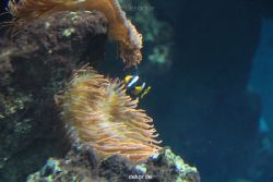 zoo-bochum-zoo-2015-03-28-080