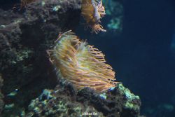 zoo-bochum-zoo-2015-03-28-081