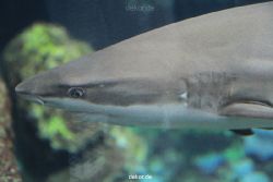 zoo-bochum-zoo-2015-03-28-087