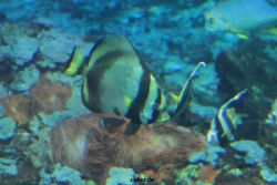 zoo-bochum-zoo-2015-03-28-089