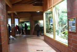 zoo-bochum-zoo-2015-03-28-091