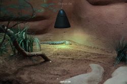 zoo-bochum-zoo-2015-03-28-093