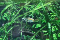 zoo-bochum-zoo-2015-03-28-105