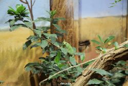 zoo-bochum-zoo-2015-03-28-110