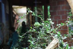 zoo-bochum-zoo-2015-03-28-111