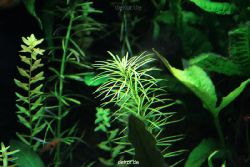 zoo-bochum-zoo-2015-03-28-120