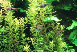 zoo-bochum-zoo-2015-03-28-123