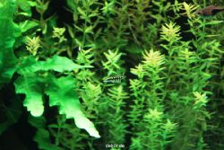 zoo-bochum-zoo-2015-03-28-124