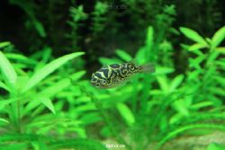 zoo-bochum-zoo-2015-03-28-126