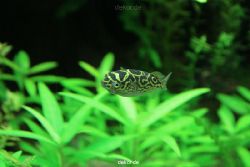 zoo-bochum-zoo-2015-03-28-127