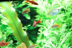 zoo-bochum-zoo-2015-03-28-135