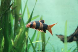 zoo-bochum-zoo-2015-03-28-137