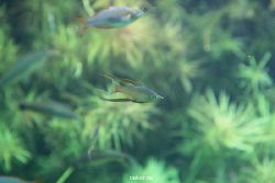 zoo-bochum-zoo-2015-03-28-148