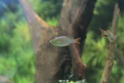 zoo-bochum-zoo-2015-03-28-151