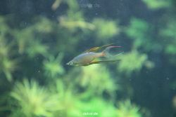 zoo-bochum-zoo-2015-03-28-152