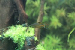 zoo-bochum-zoo-2015-03-28-154