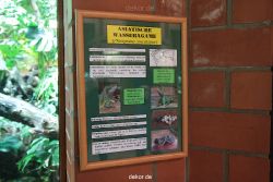 zoo-bochum-zoo-2015-03-28-157