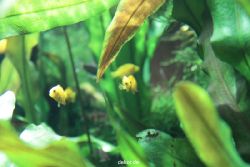 zoo-bochum-zoo-2015-03-28-165