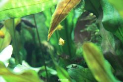 zoo-bochum-zoo-2015-03-28-167