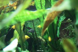 zoo-bochum-zoo-2015-03-28-168