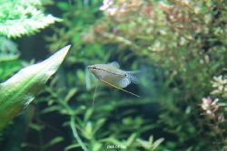 zoo-bochum-zoo-2015-03-28-171