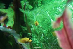 zoo-bochum-zoo-2015-03-28-174