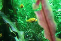 zoo-bochum-zoo-2015-03-28-175