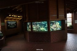 zoo-bochum-zoo-2015-03-28-183