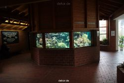 zoo-bochum-zoo-2015-03-28-184