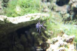 zoo-bochum-zoo-2015-03-28-188