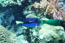 zoo-bochum-zoo-2015-03-28-195
