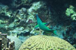 zoo-bochum-zoo-2015-03-28-196