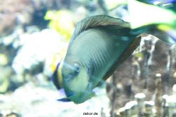 zoo-bochum-zoo-2015-03-28-198
