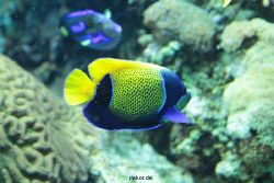 zoo-bochum-zoo-2015-03-28-200