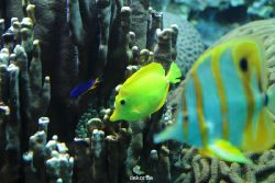 zoo-bochum-zoo-2015-03-28-201
