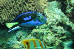 zoo-bochum-zoo-2015-03-28-205