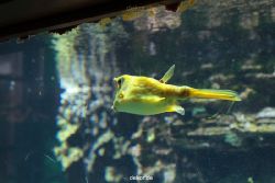 zoo-bochum-zoo-2015-03-28-207