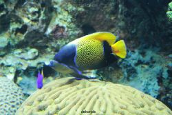 zoo-bochum-zoo-2015-03-28-209