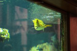 zoo-bochum-zoo-2015-03-28-210