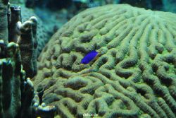 zoo-bochum-zoo-2015-03-28-223