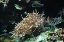 zoo-bochum-zoo-2015-03-28-225